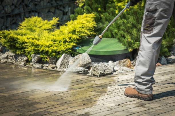 Best Sidewalk and Walkway Pressure Cleaning in Greenville, SC