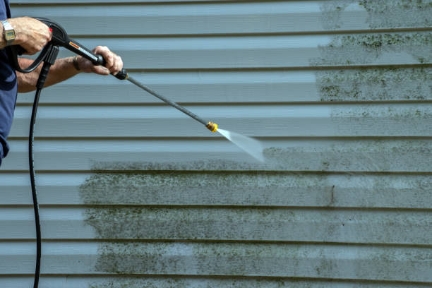 Best Graffiti Removal Services in Greenville, SC